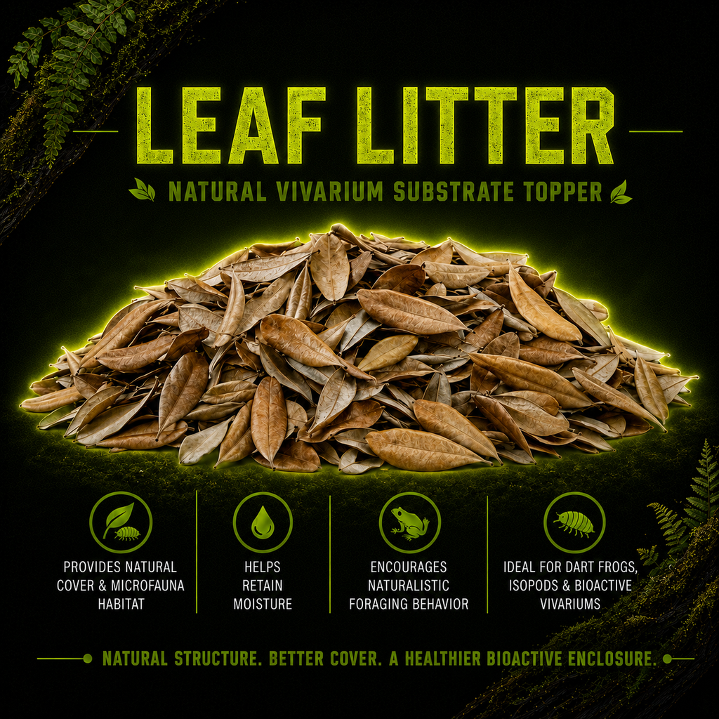 Live Oak Leaf Litter