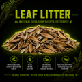 Live Oak Leaf Litter