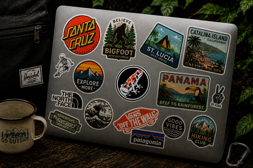 DFN Koi - Small Sticker