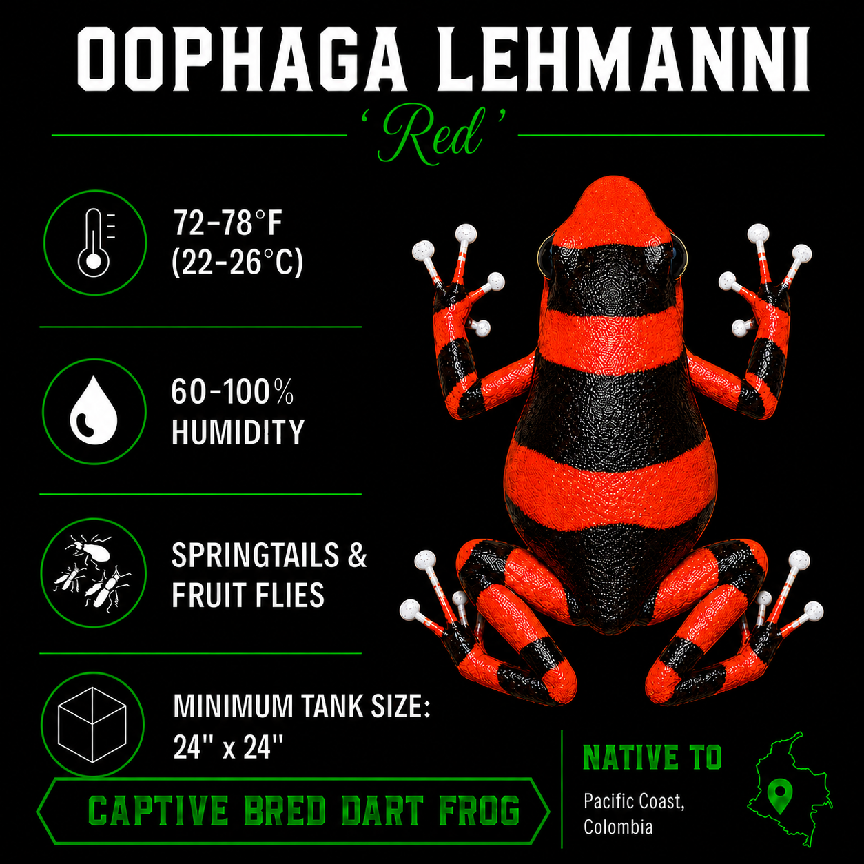 Oophaga lehmanni 'Red'