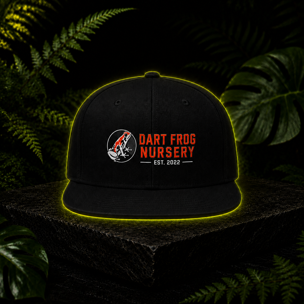 DFN Logo Hat