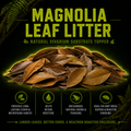 Magnolia Leaf Litter