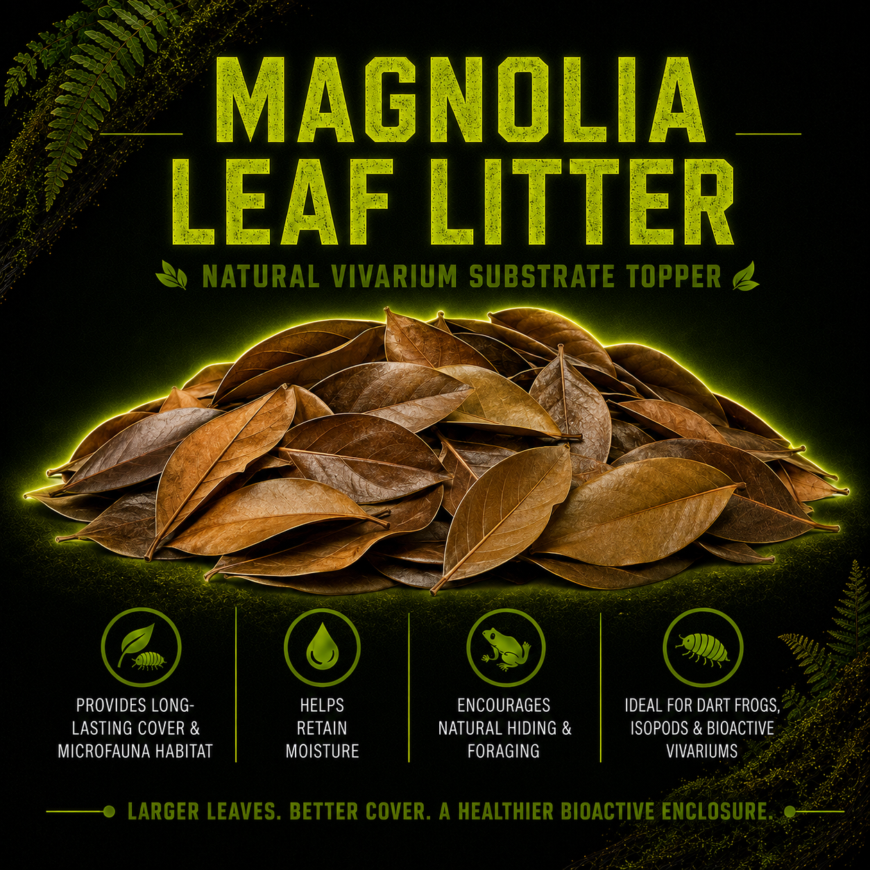 Magnolia Leaf Litter