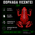 Oophaga vicentei 'Red'