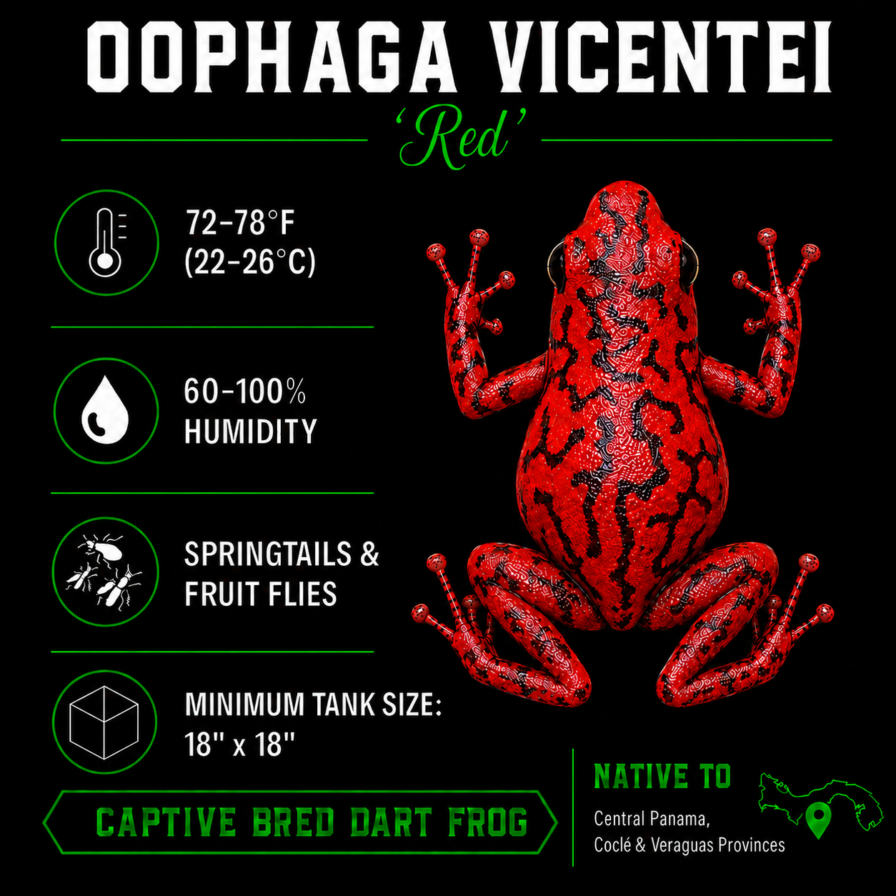 Oophaga vicentei 'Red'