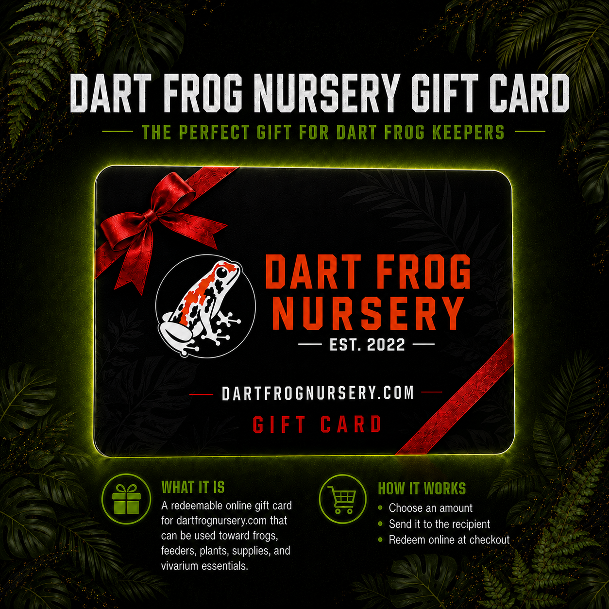 DFN.com Gift Card